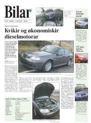 Síða 15