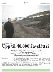 Síða 18