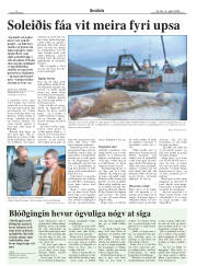 Síða 4