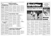 Síða 8