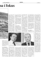 Síða 17