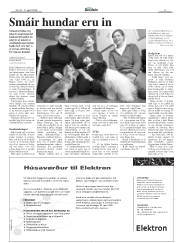 Síða 5