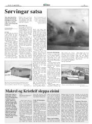 Síða 13