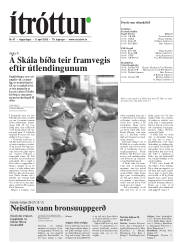 Síða 19