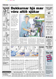 Síða 13