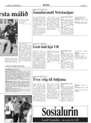 Síða 29