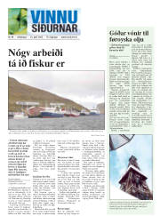 Síða 17