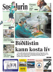 Síða 1