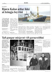 Síða 8