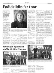 Síða 17