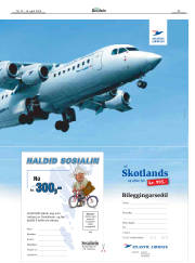 Síða 29