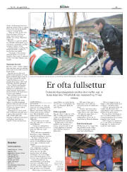 Síða 33
