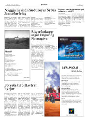 Síða 15