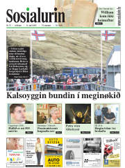 Síða 1