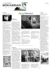 Síða 17