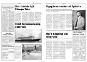 Síða 5