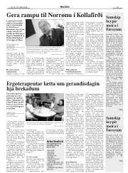 Síða 15