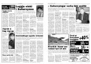 Síða 3