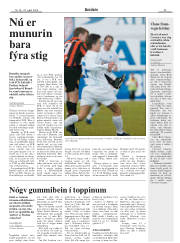 Síða 29