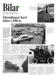 Síða 17