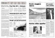 Síða 2