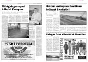 Síða 4