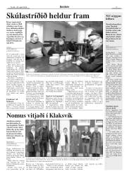 Síða 17