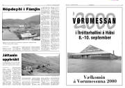 Síða 6