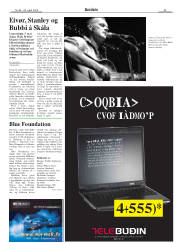 Síða 33