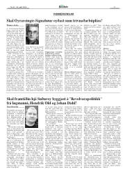 Síða 11