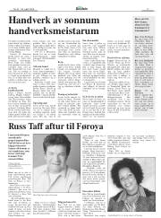 Síða 17