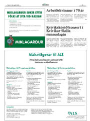 Síða 29