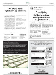 Síða 43