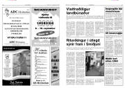 Síða 11