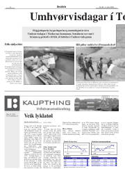 Síða 8