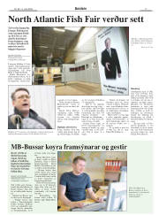 Síða 17