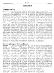Síða 13