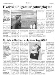 Síða 17