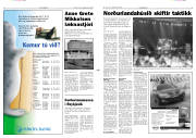 Síða 3