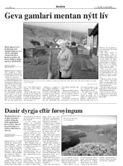 Síða 8
