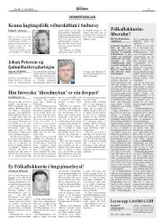 Síða 11