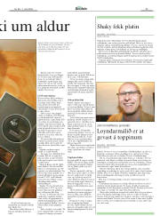 Síða 29