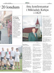 Síða 31