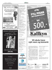 Síða 45