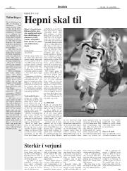 Síða 22
