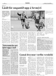 Síða 24