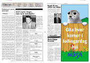 Síða 2