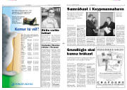 Síða 3