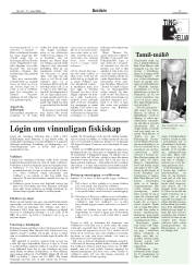 Síða 17