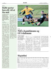 Síða 20